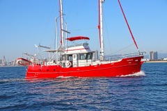 Profile-7